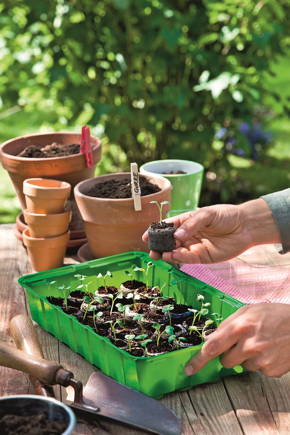 Grow It 50 Peat Free Compost Discs