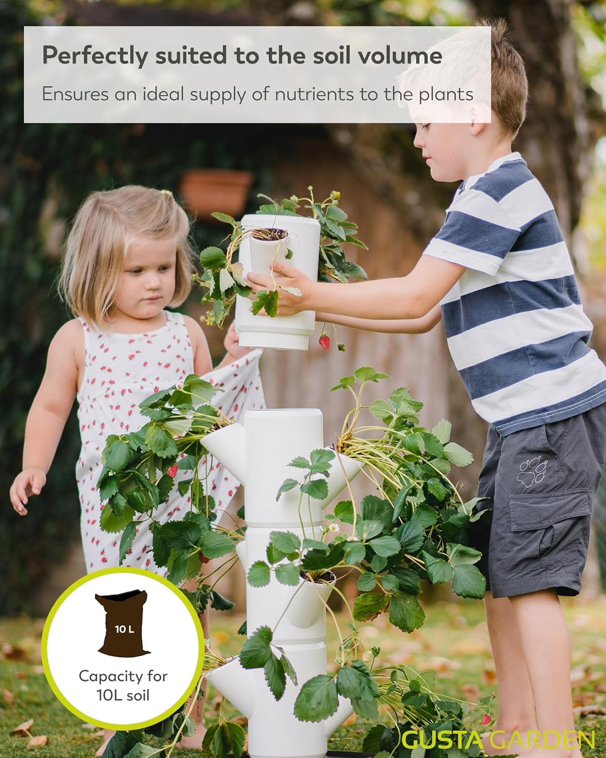 Sissi Strawberry Planter Starter - White