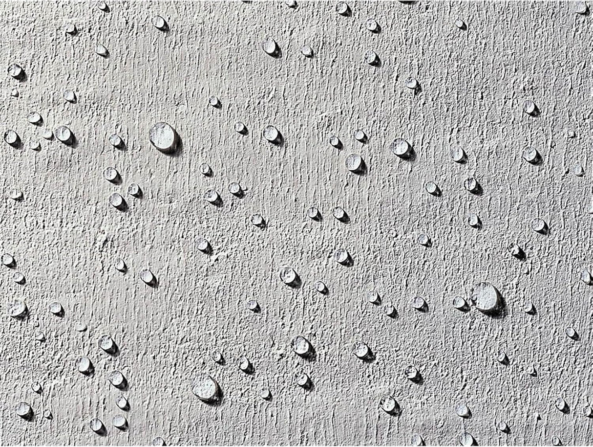 Thompson's Water Seal 5L