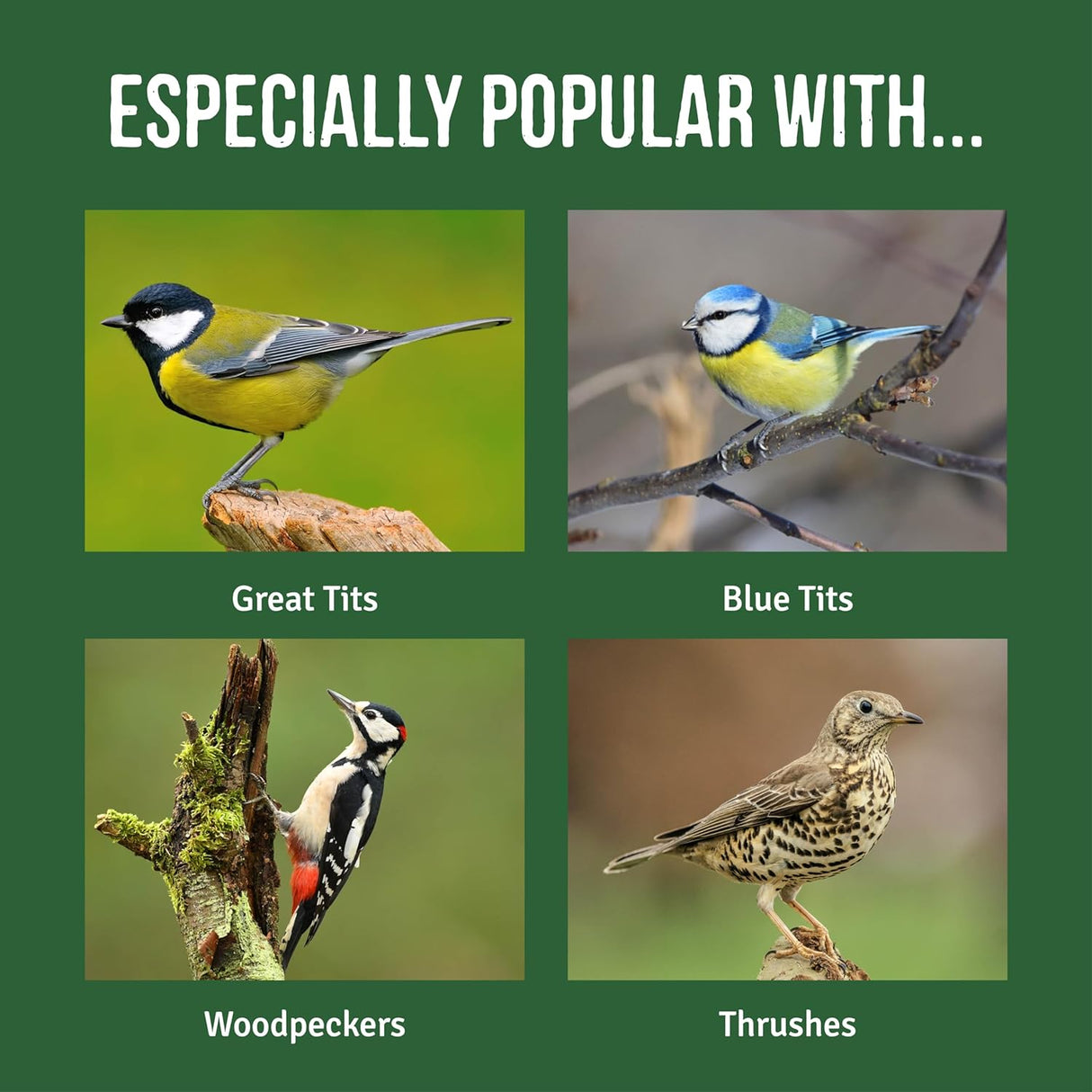 Honeyfields Sunflower Hearts 12.6kg