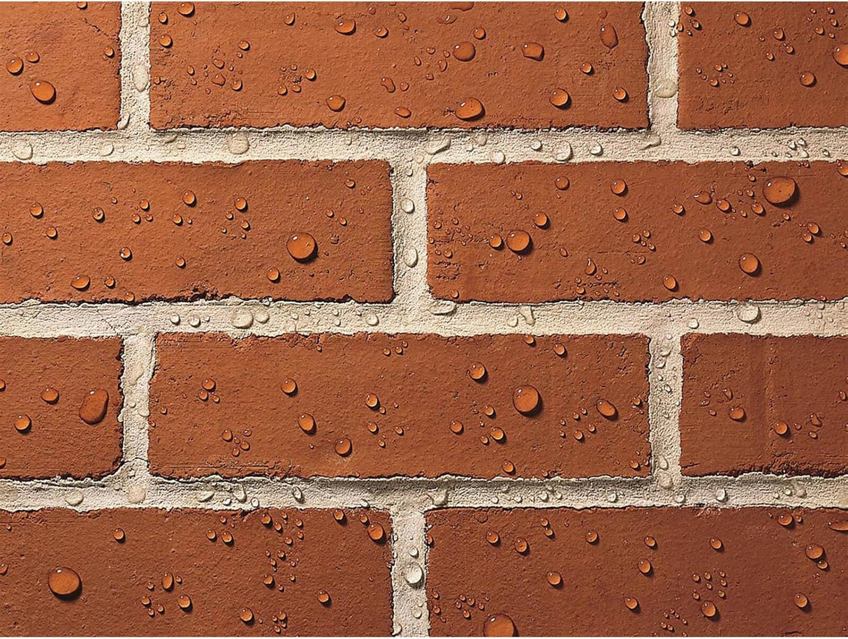 Thompson's Water Seal 1L