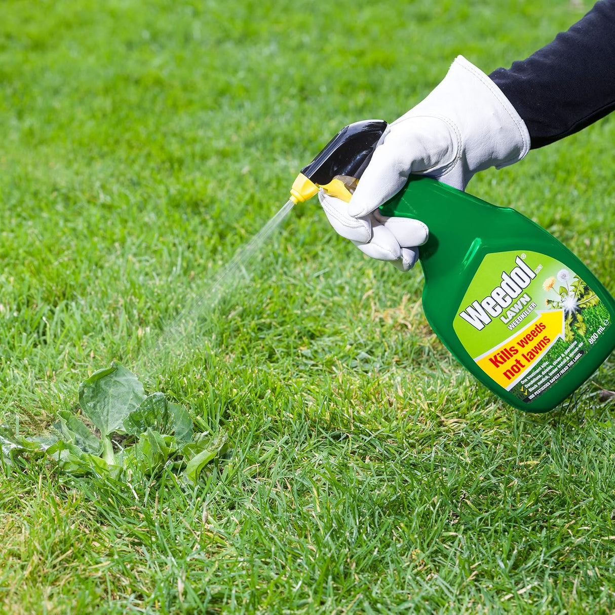 Weedol Lawn Weedkiller Spray, 800 ml