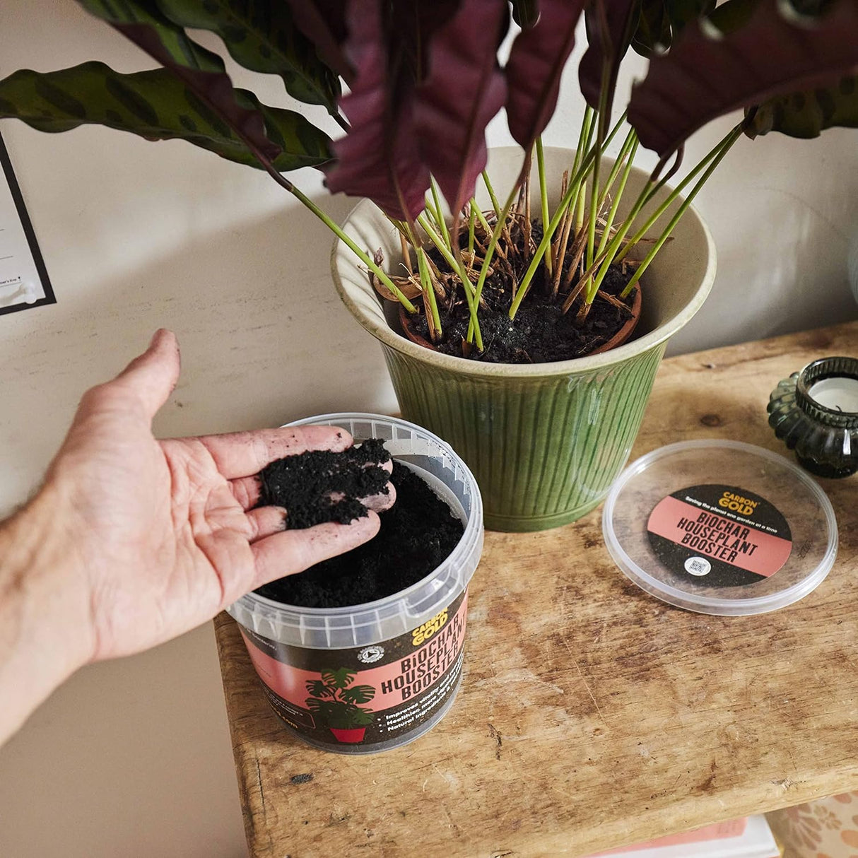 Biochar Houseplant Booster