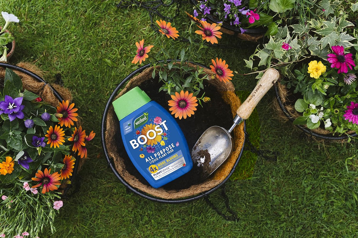 Westland Boost All Purpose Liquid Plant Food 1 L