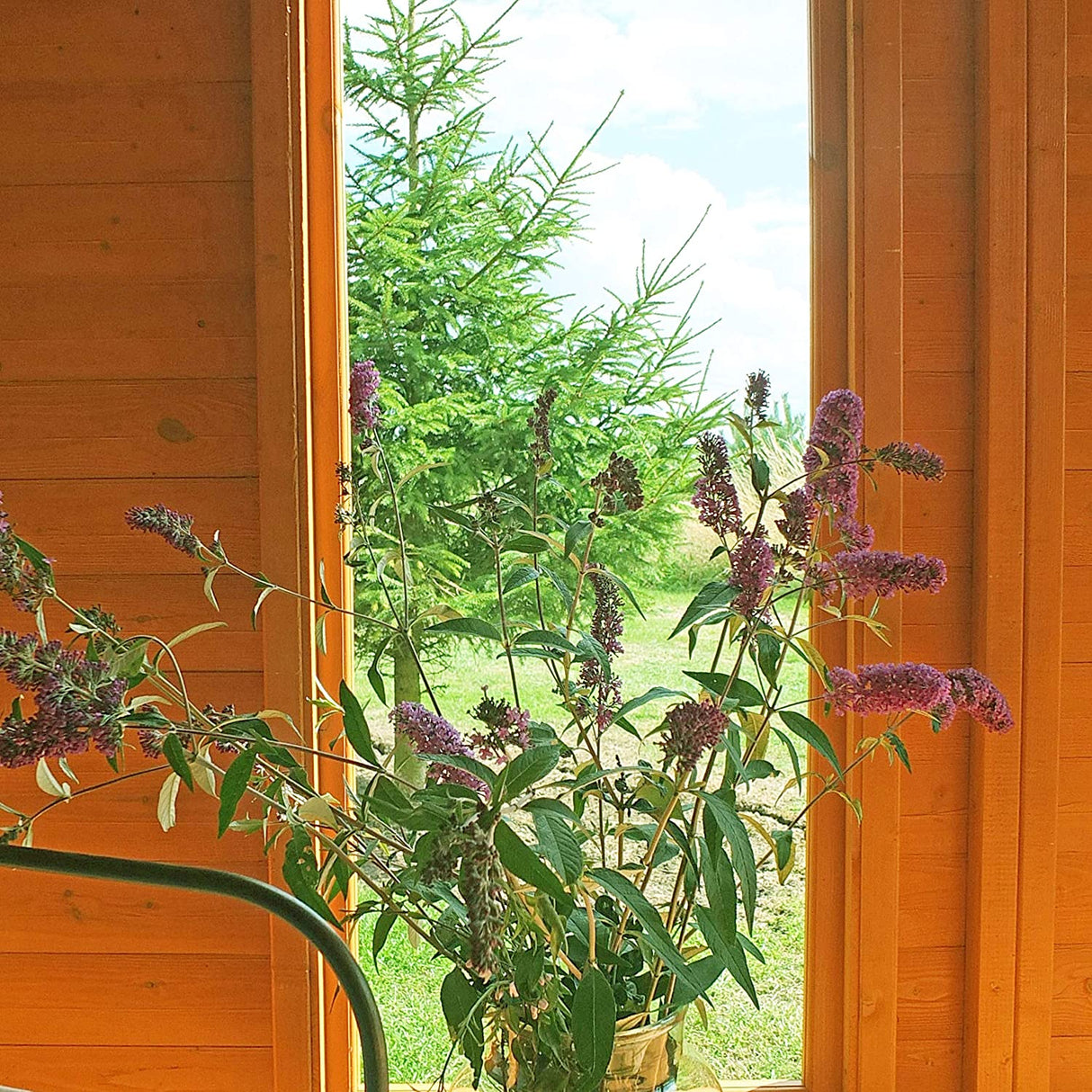Shire Larkspur 8x8 Summer House