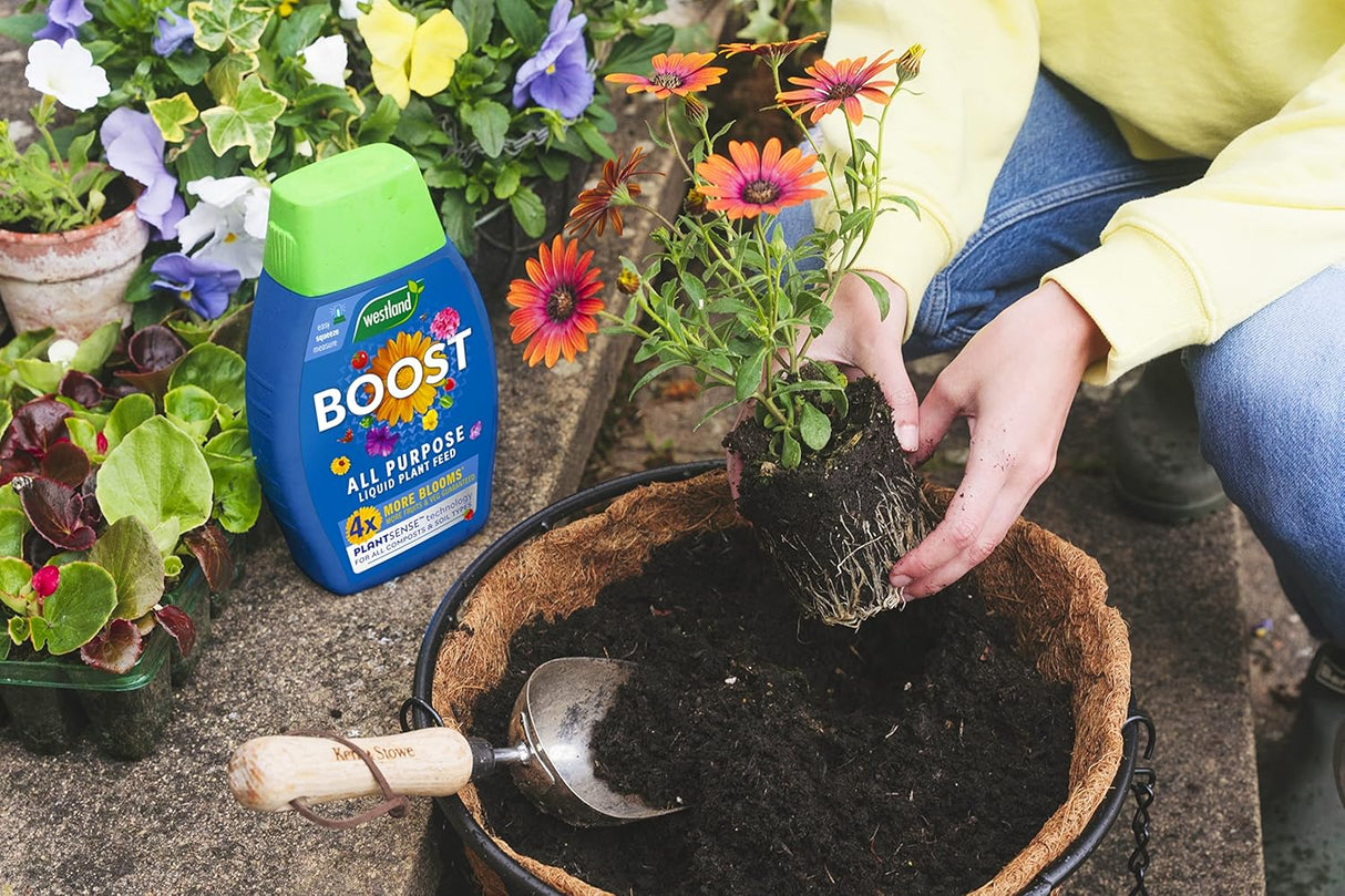 Westland Boost All Purpose Liquid Plant Food 1 L