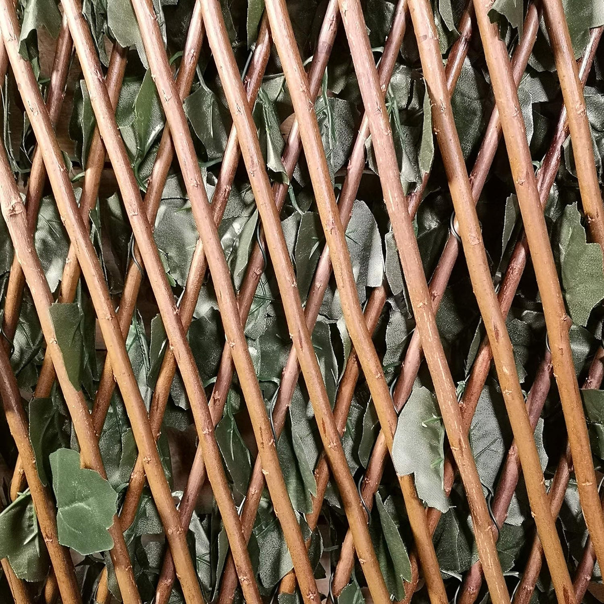 Wonderwal Ivy Trellis 1 x 2m