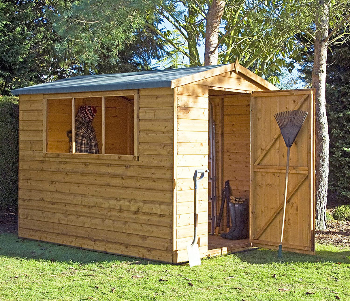 Shire Lewis 8x6 Single Door Shed