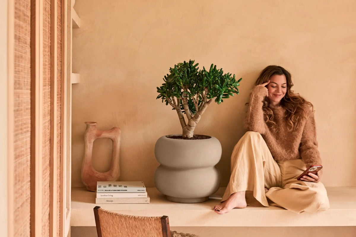 Amber Roll Low 43cm Indoor / Outdoor Plant Pot - Balanced Beige