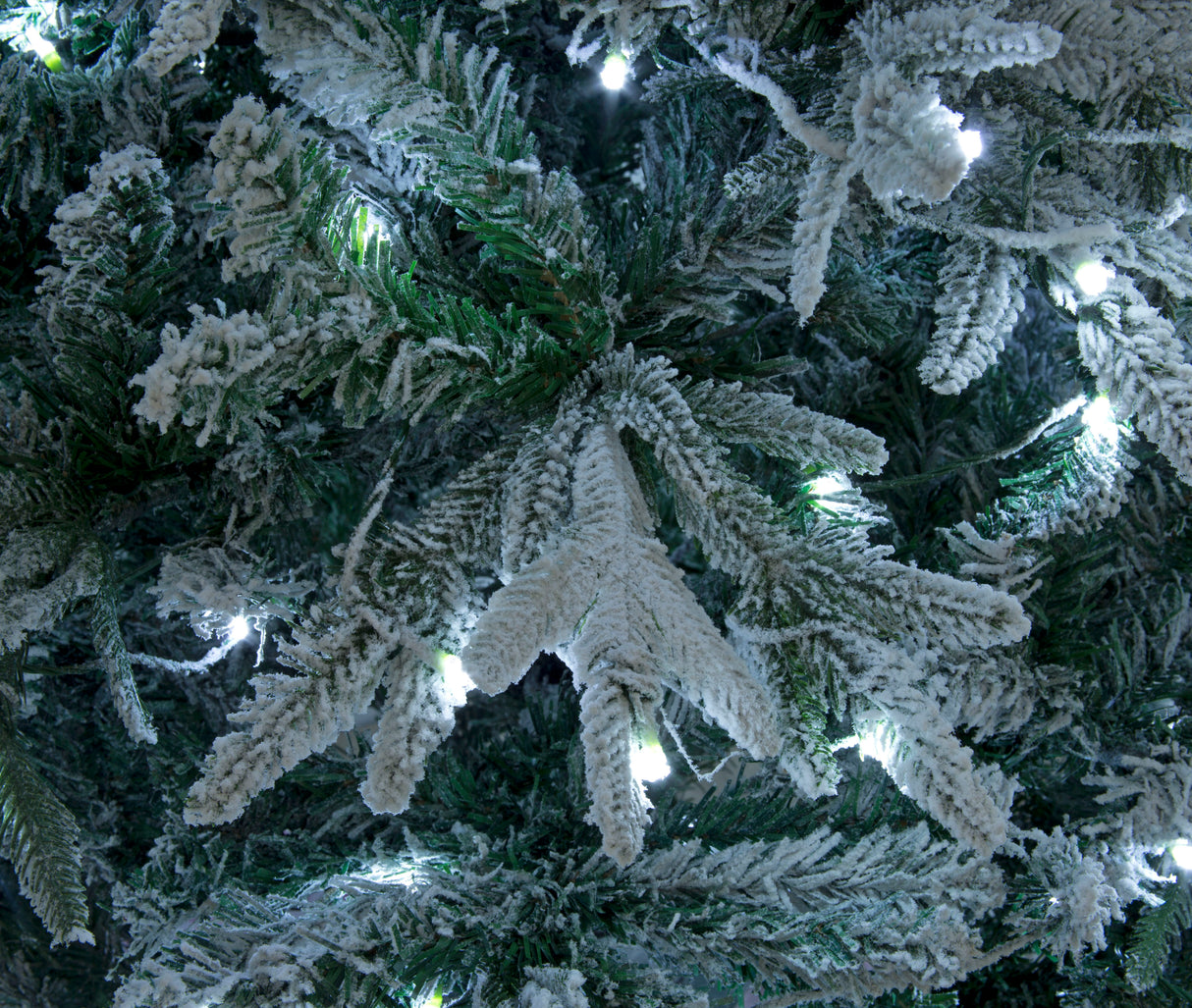 Lapland Fir Pre- Lit Christmas Tree 8ft/240cm - Ice White LEDs