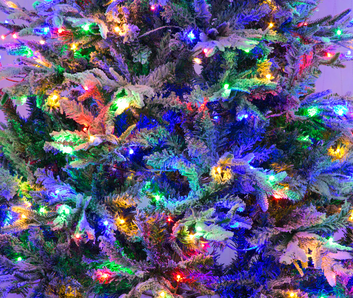 Lapland Fir Pre- Lit Christmas Tree 6ft/180cm - Multicoloured LEDs