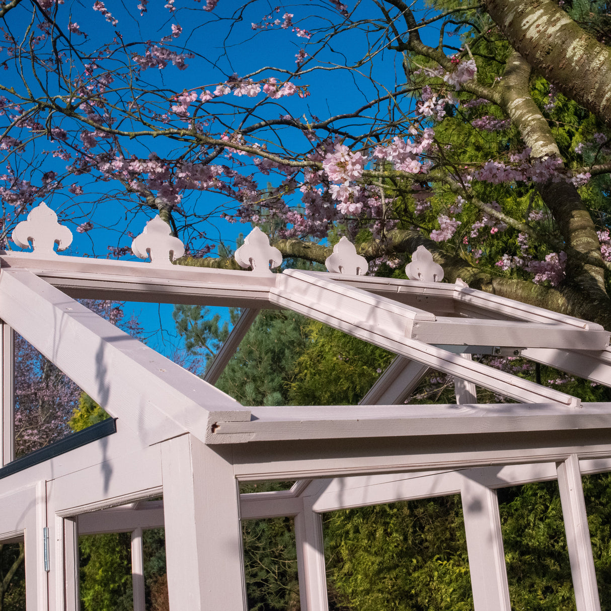Shire Holkham 6x4 Wooden Greenhouse