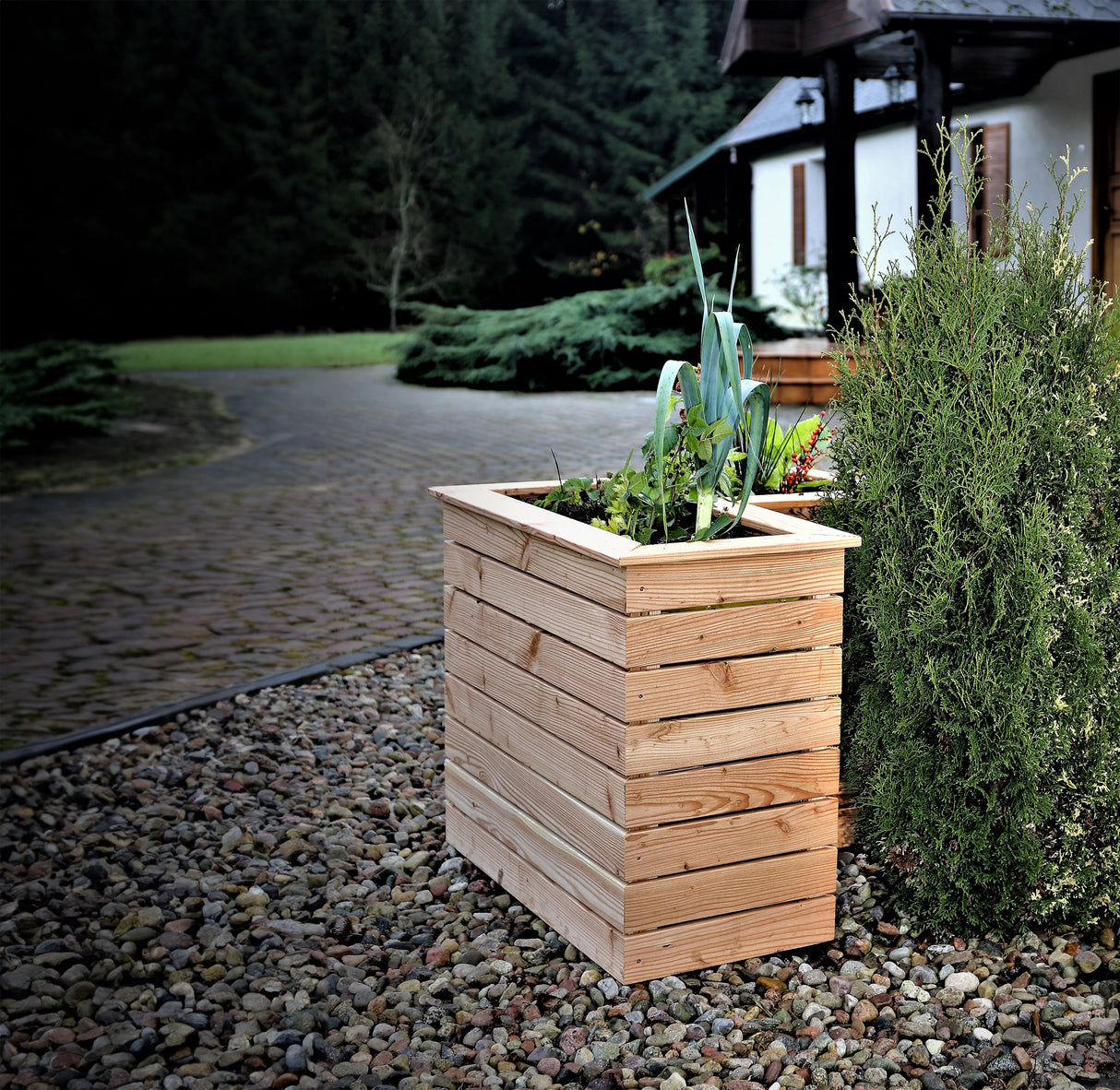 Shire Tina Larch Planter
