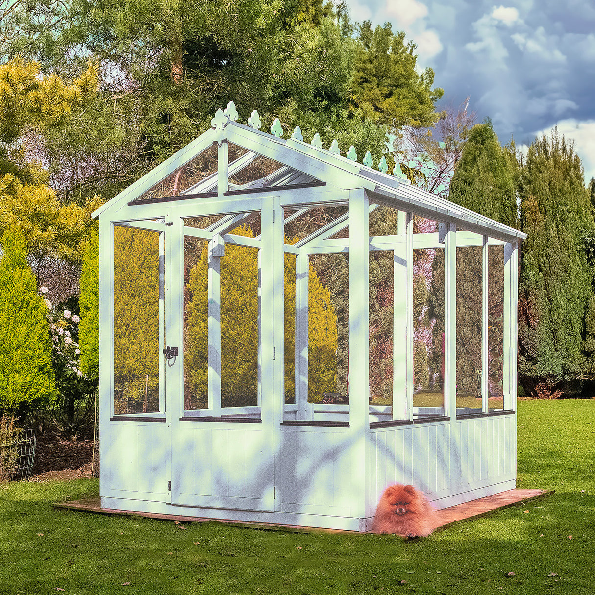 Shire Holkham 6x8 Wooden Greenhouse