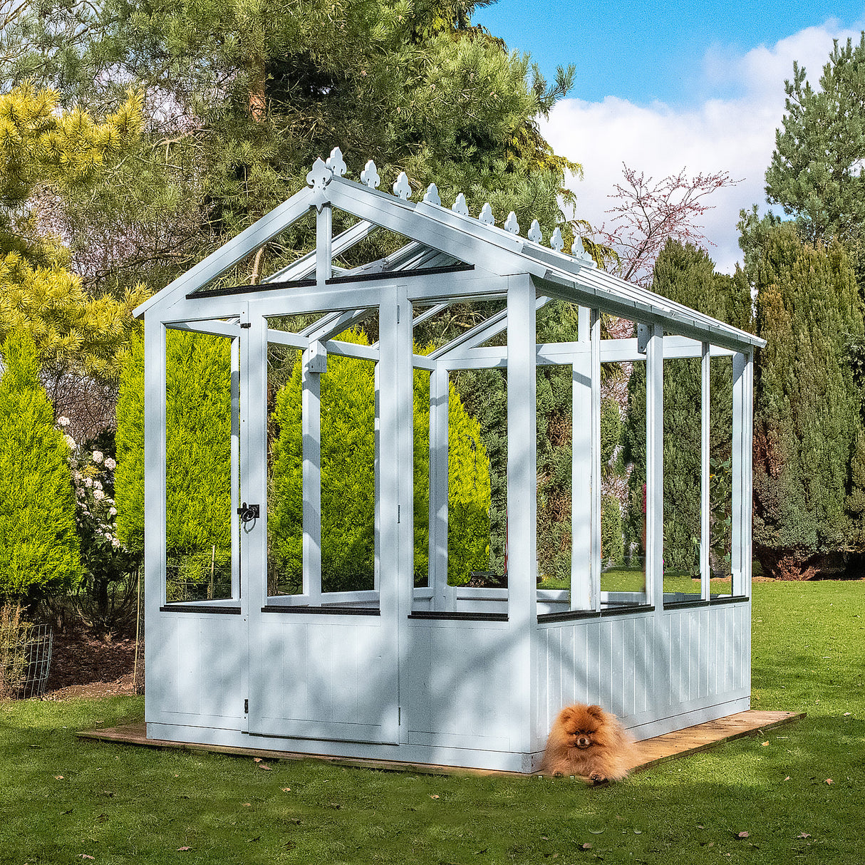 Shire Holkham 6x8 Wooden Greenhouse