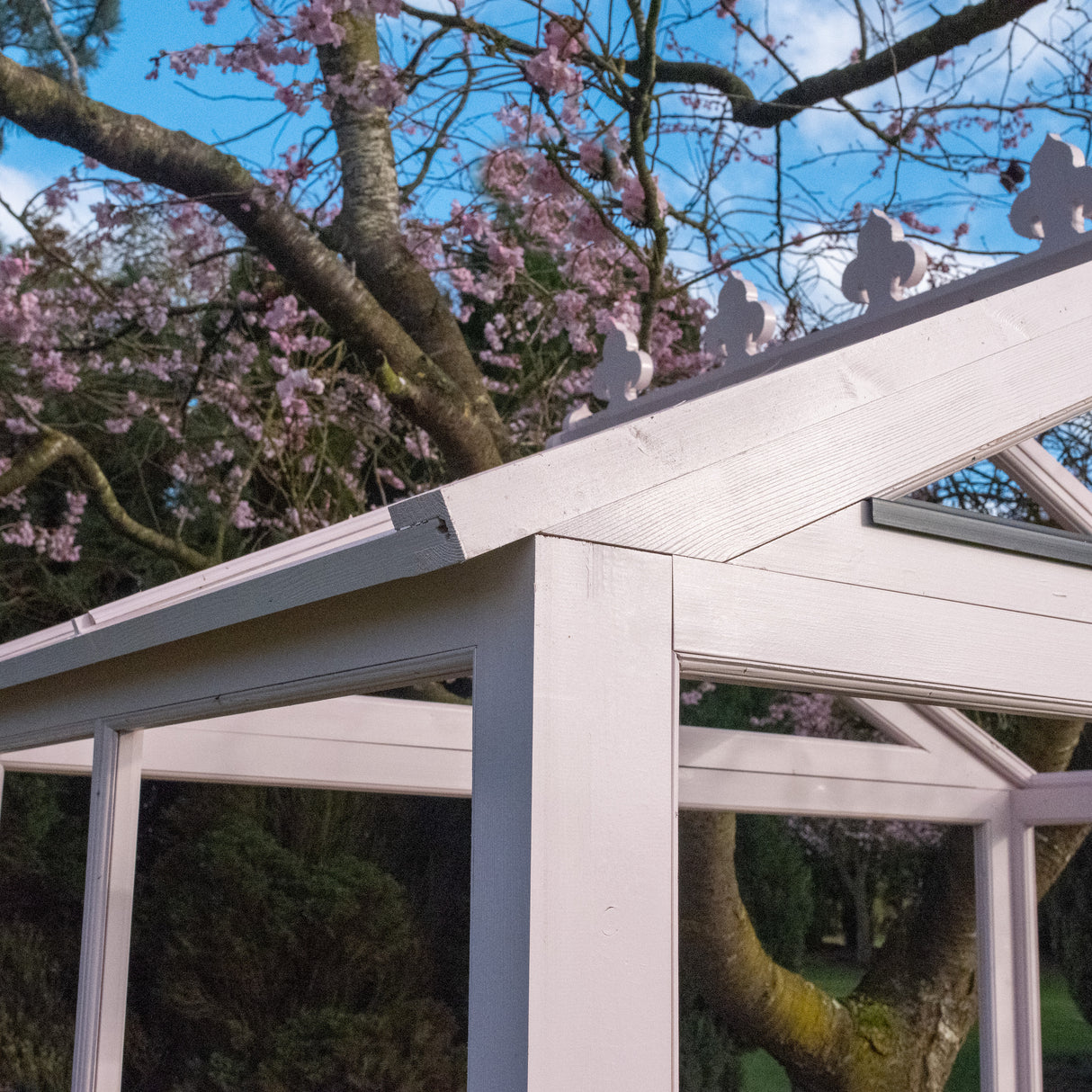 Shire Holkham 6x8 Wooden Greenhouse