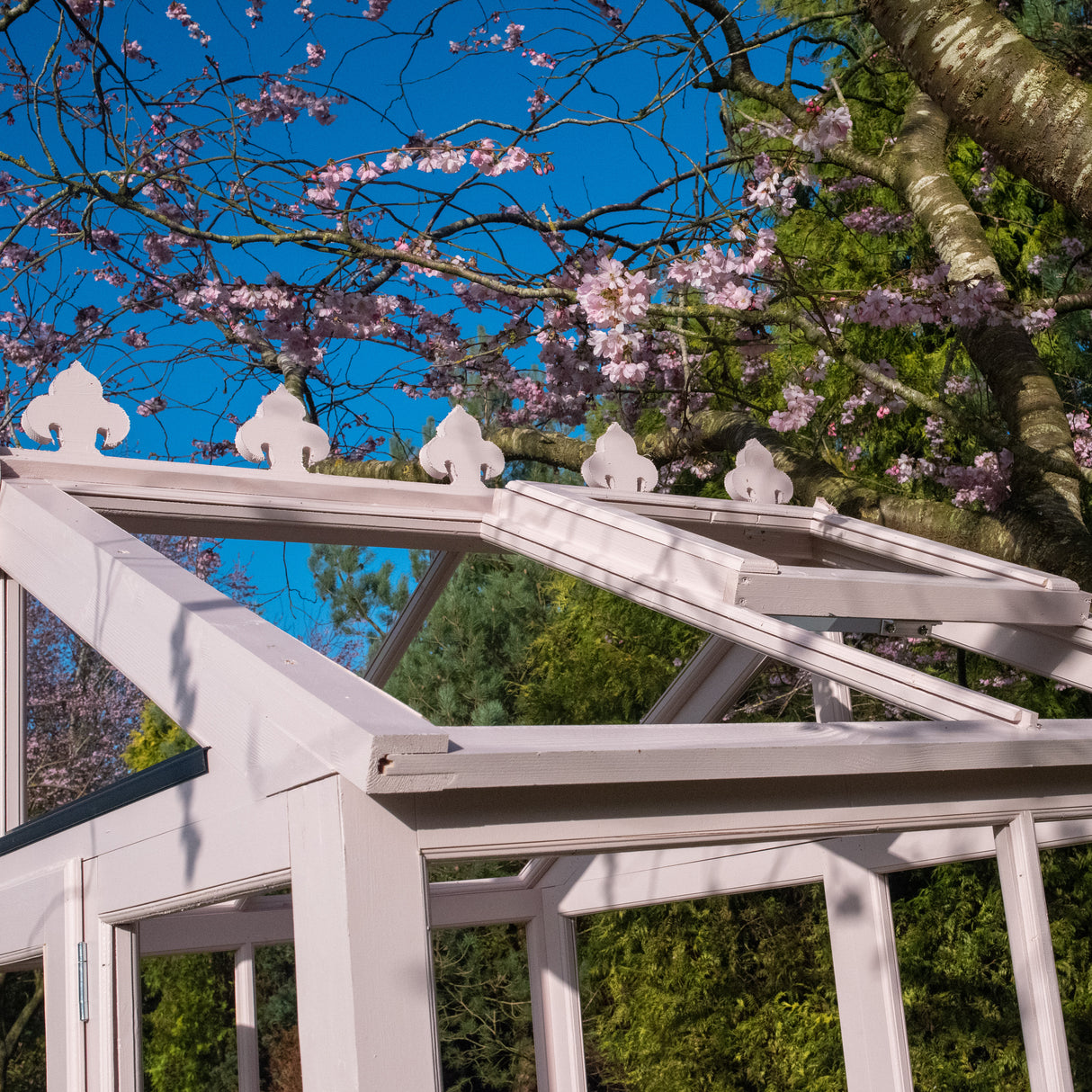 Shire Holkham 6x8 Wooden Greenhouse