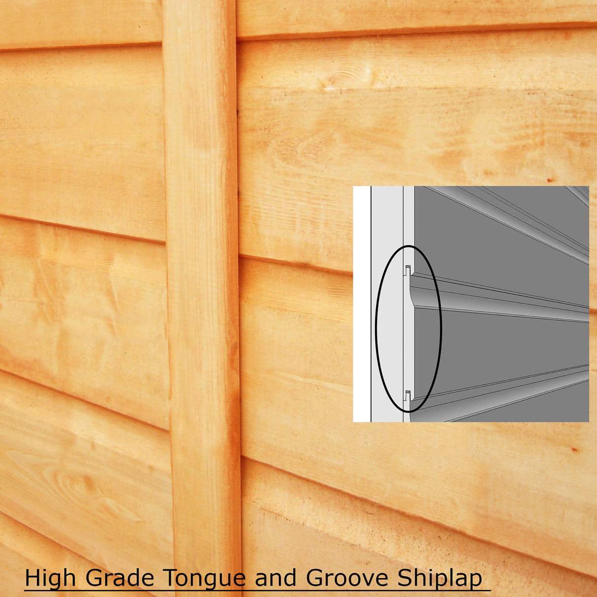 Shire Holt 7x13 Shed