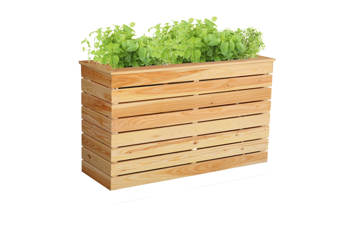 Shire Marta Larch Planter