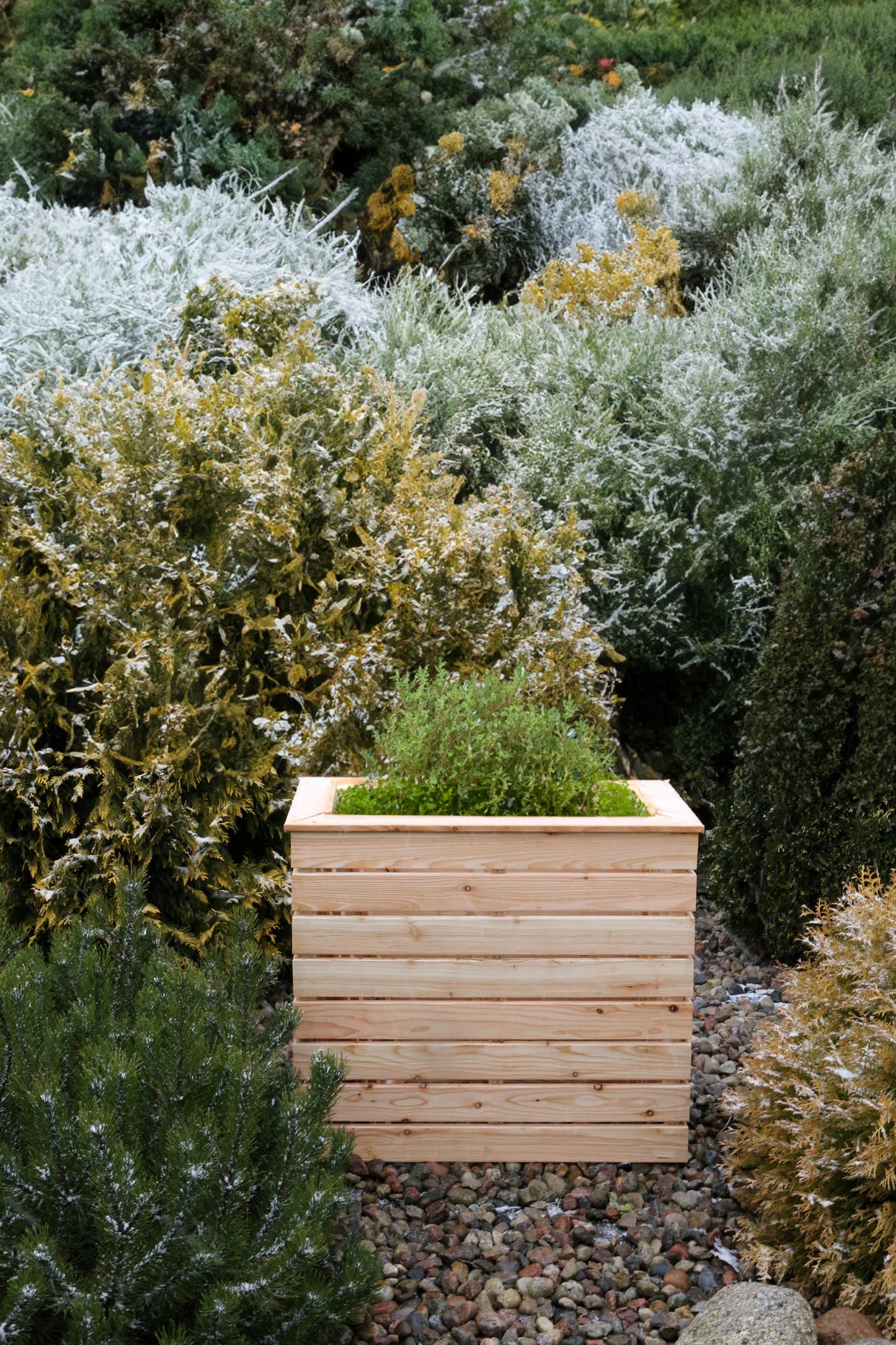 Shire Pia Larch Planter