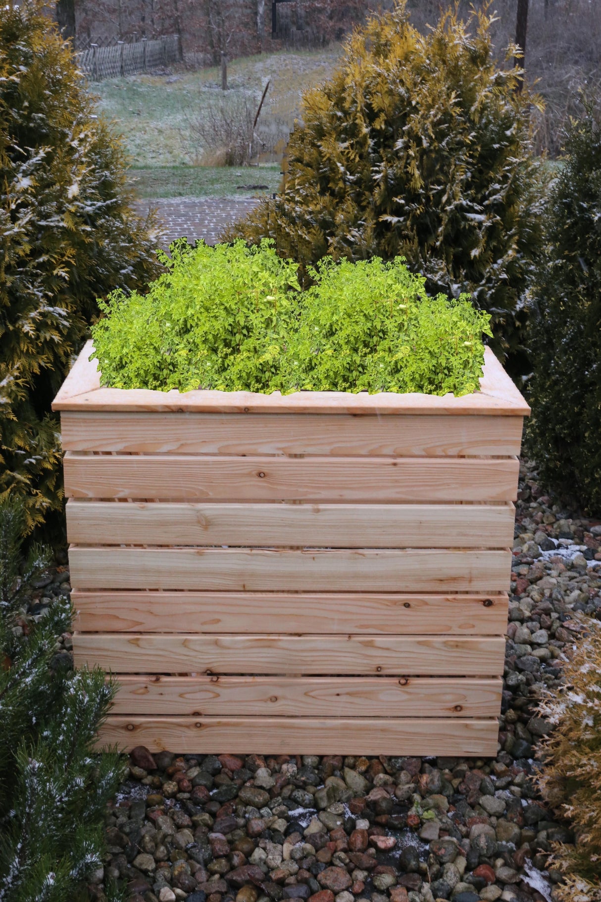 Shire Pia Larch Planter