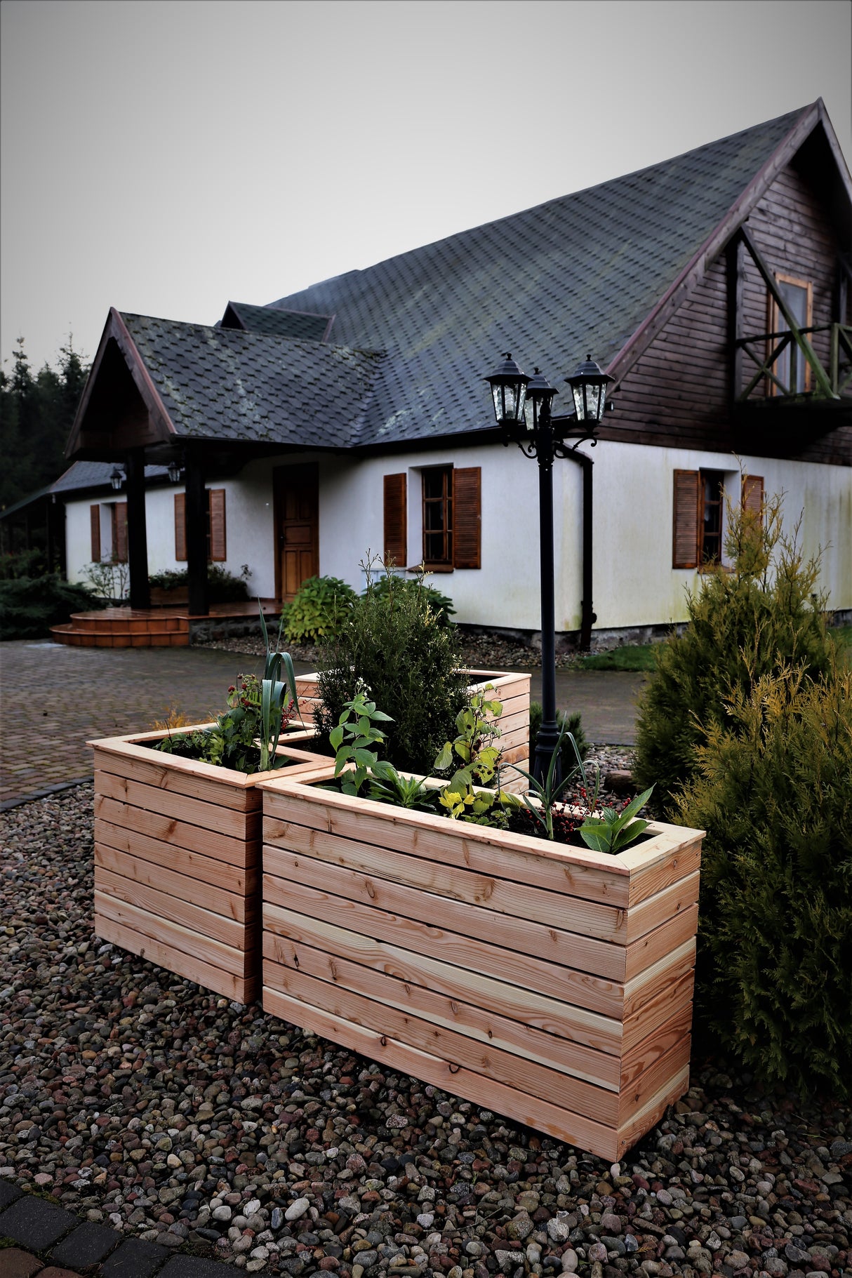 Shire Tina Larch Planter