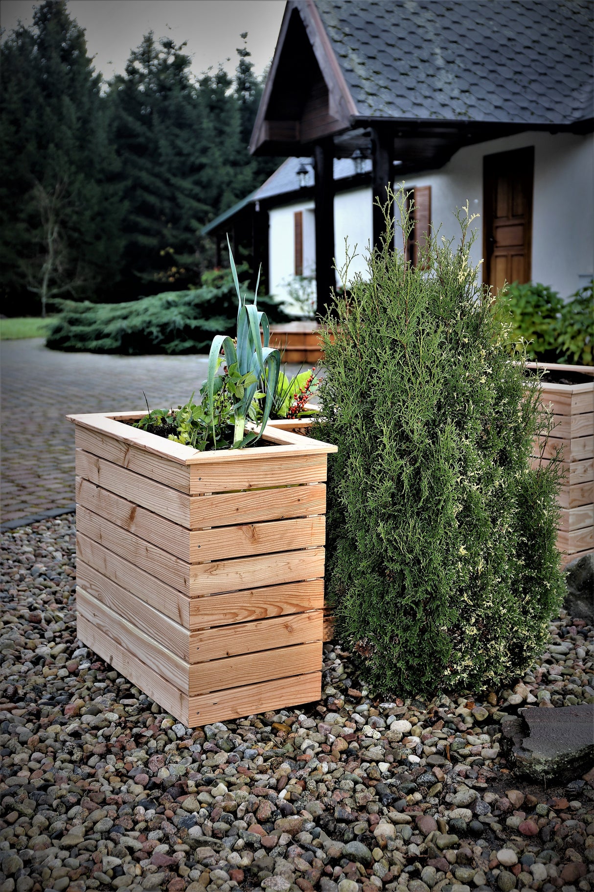 Shire Tina Larch Planter