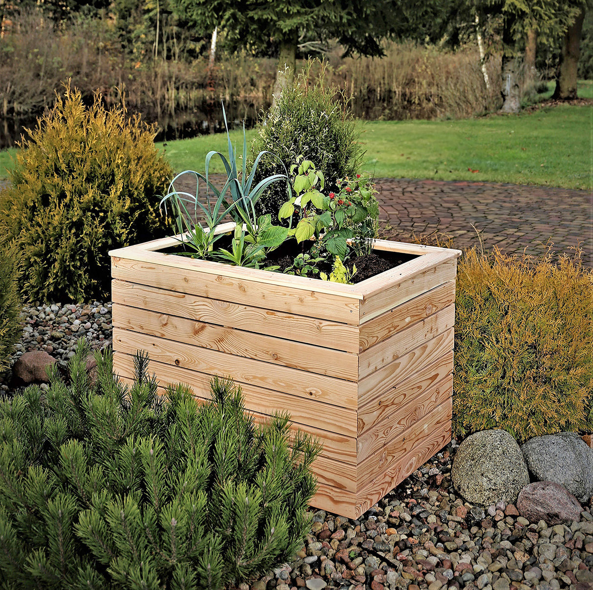 Shire Irena Larch Planter