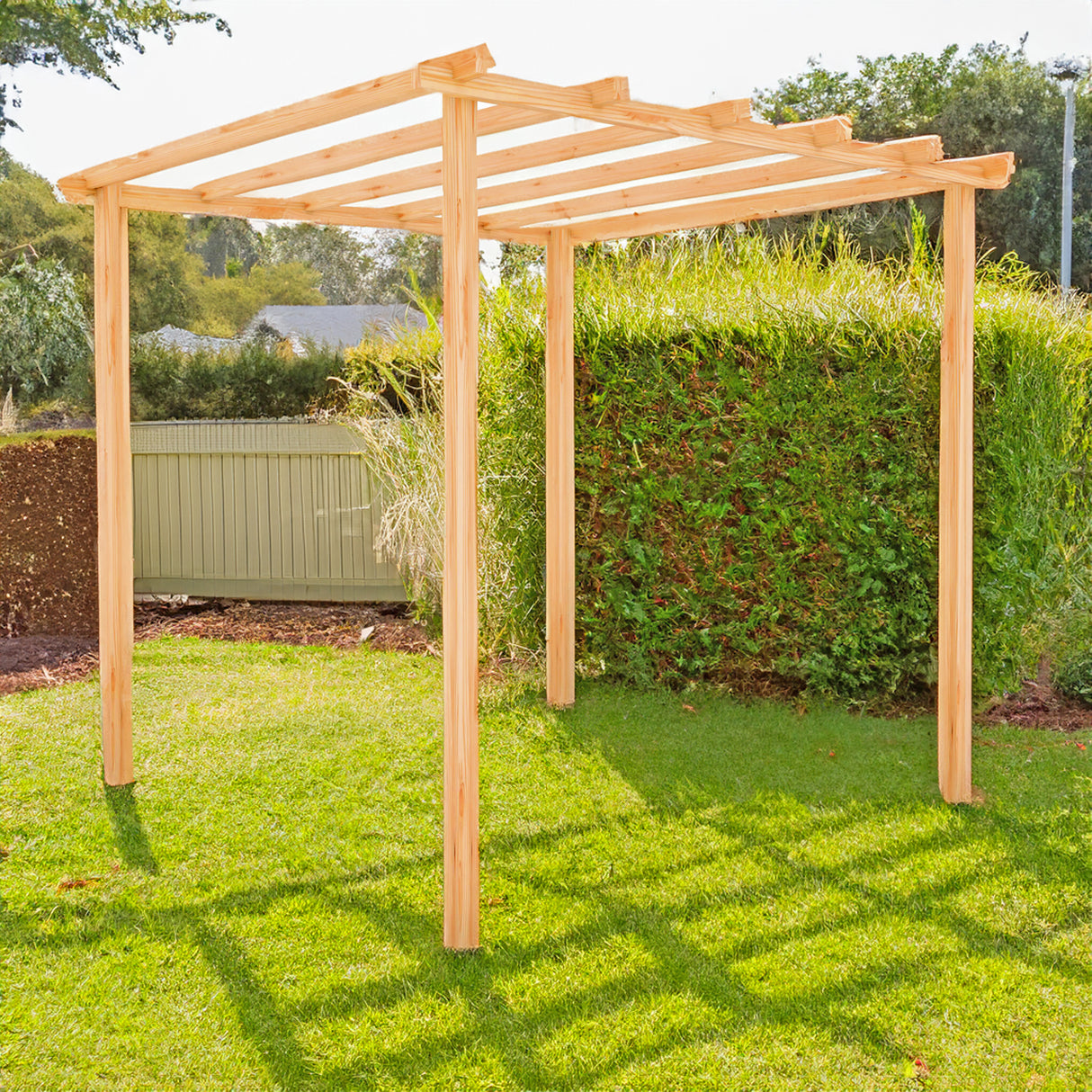 Shire 8x8 Ivy Pergola Kit