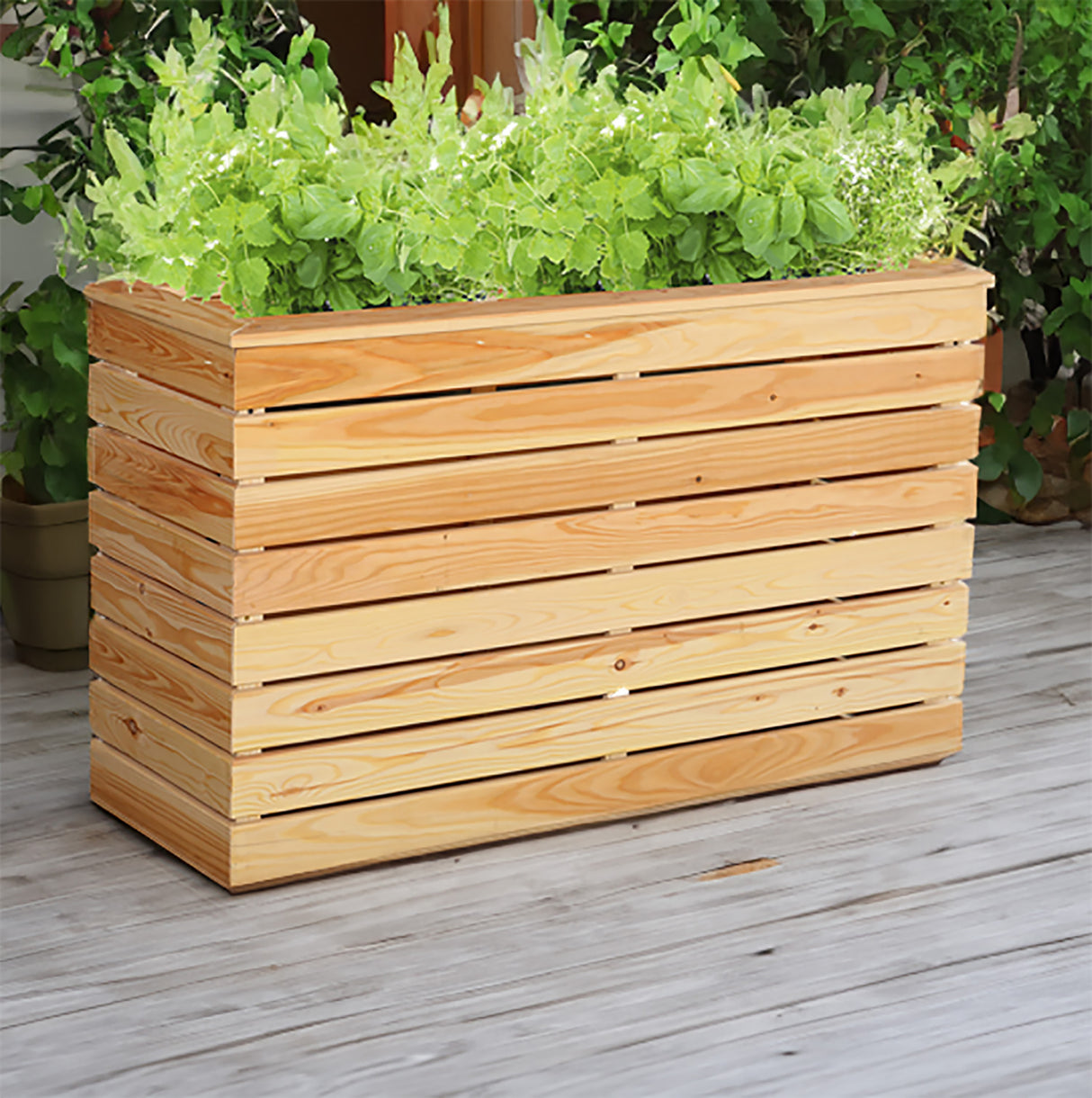 Shire Marta Larch Planter
