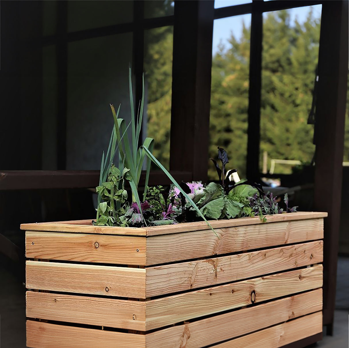 Shire Marta Larch Planter