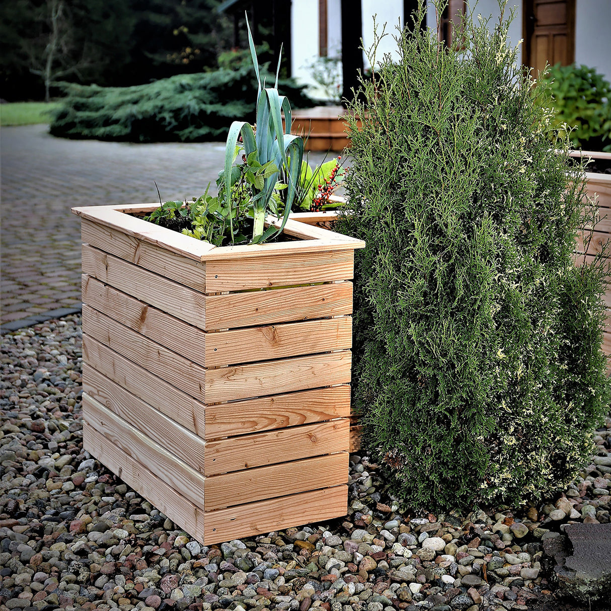 Shire Marta Larch Planter