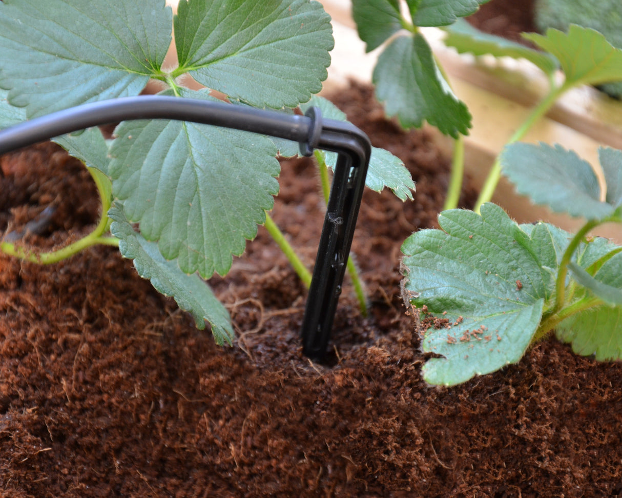 Drip Irrigation Kit