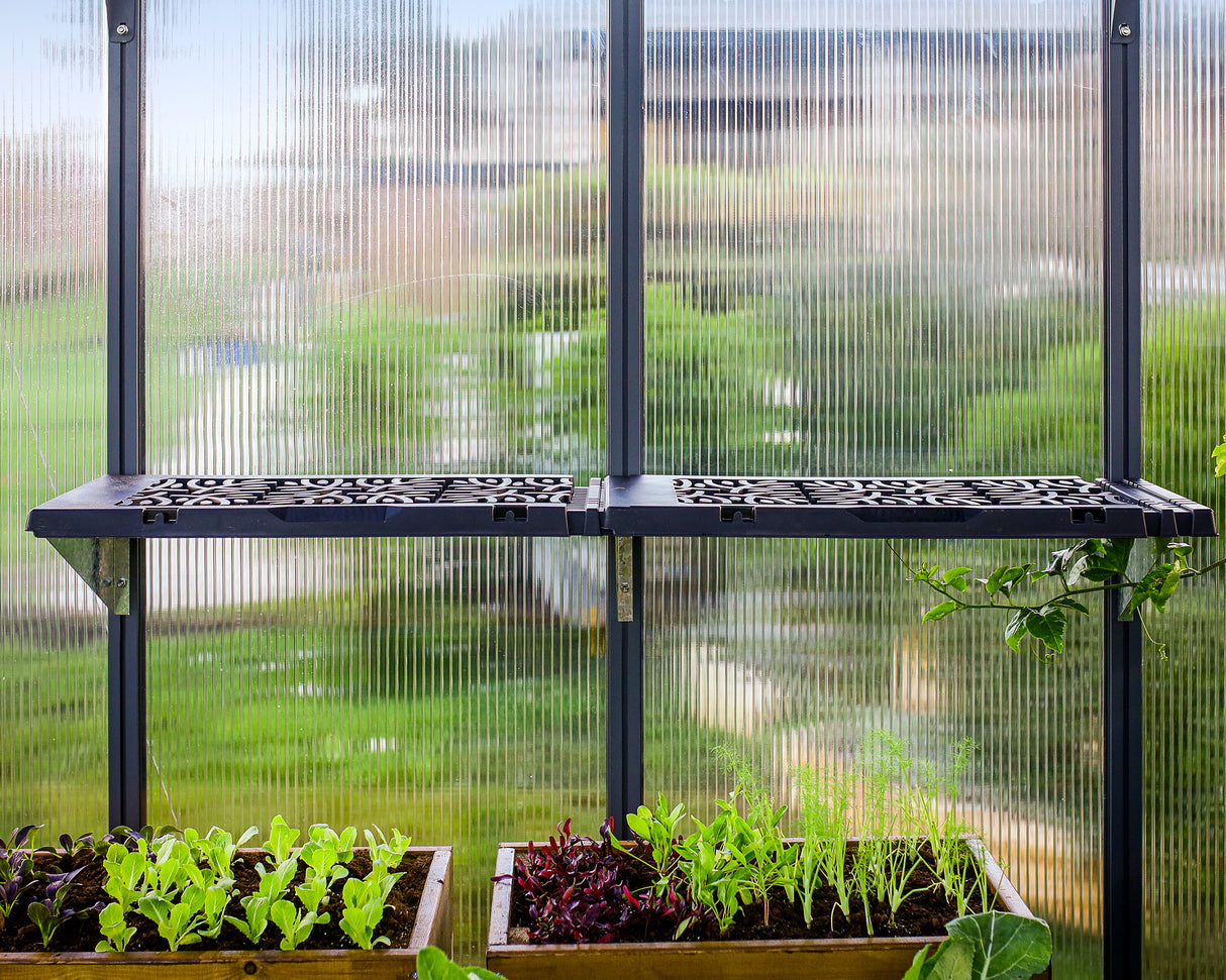 Signature Greenhouse Shelf - Pack of 2