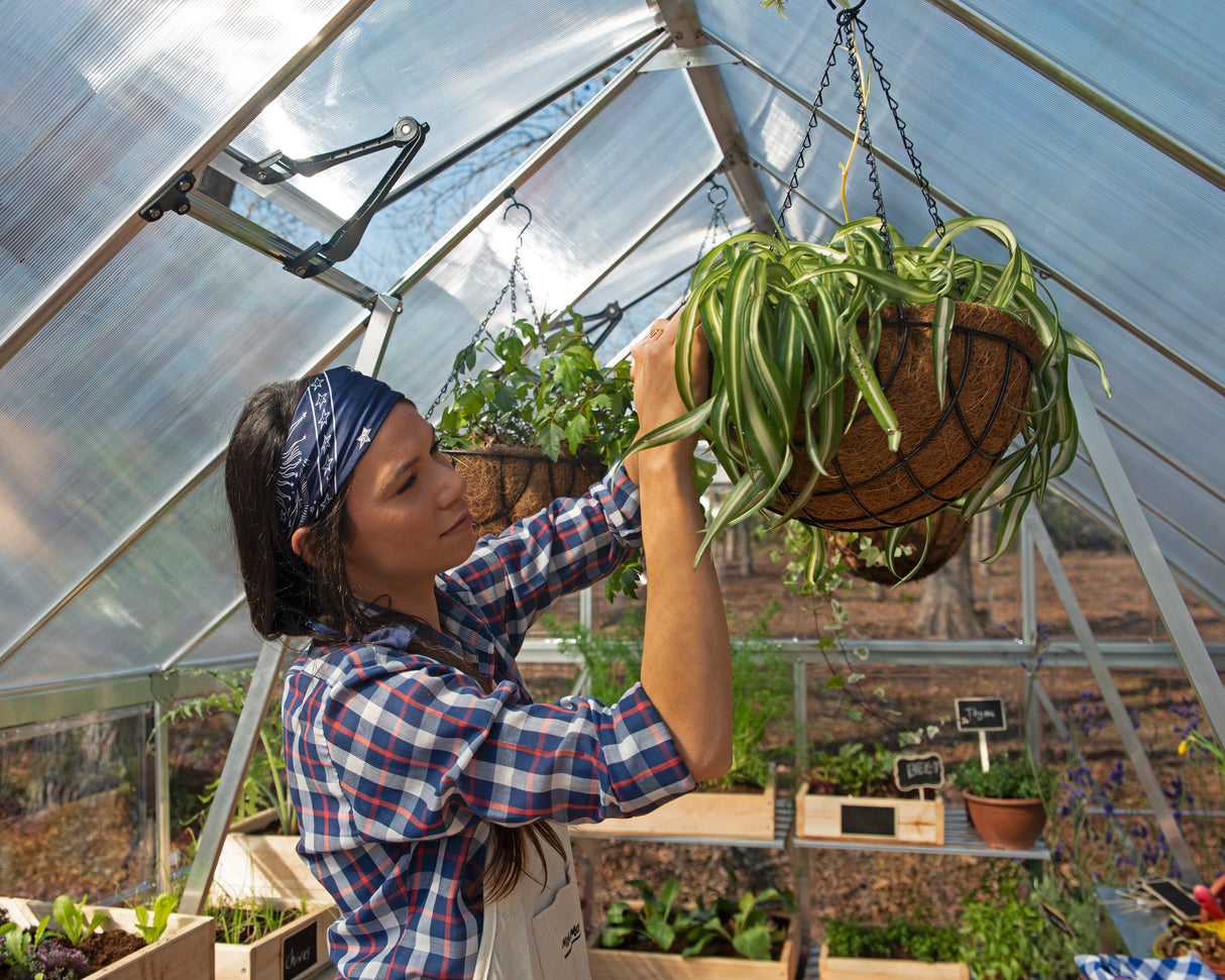 Balance 8' x 20' Greenhouse - Silver Aluminium Frame & Hybrid Polycarbonate Panels