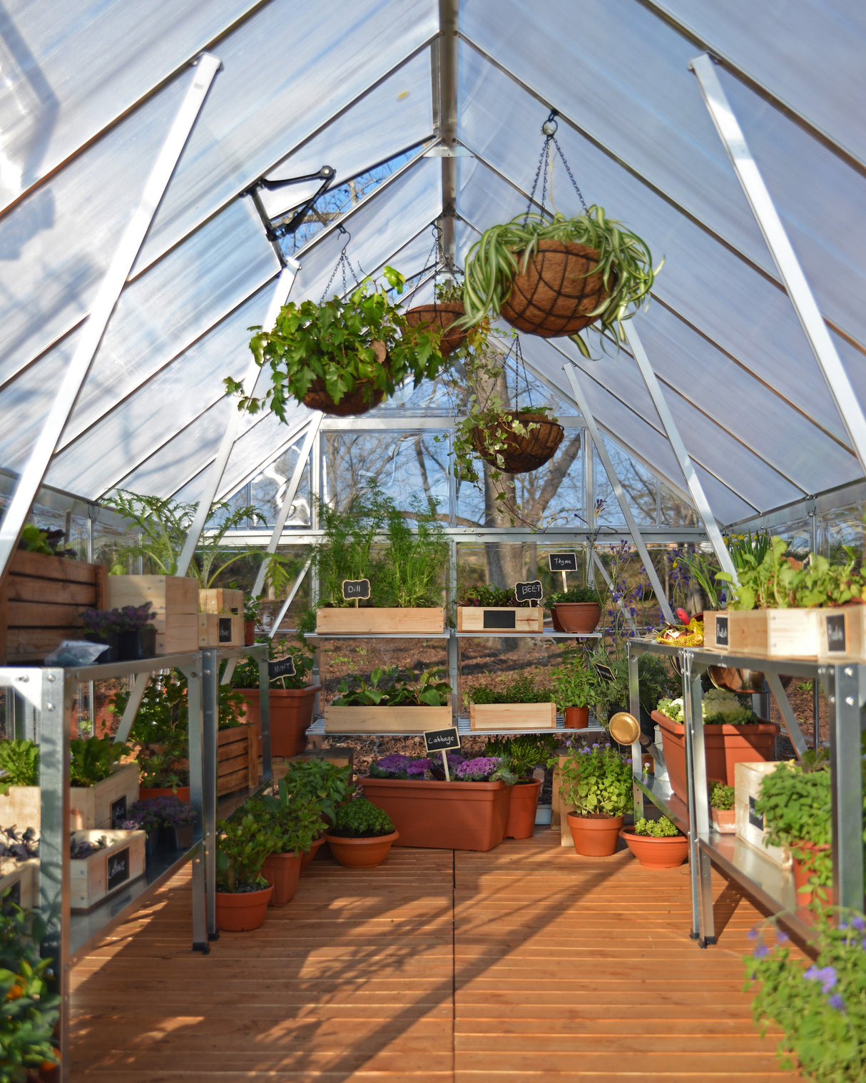 Balance 8' x 20' Greenhouse - Silver Aluminium Frame & Hybrid Polycarbonate Panels