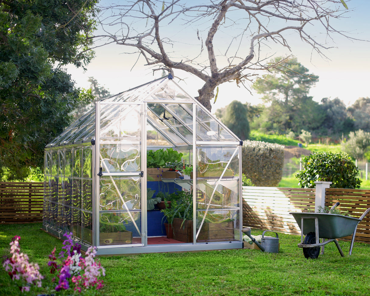 Harmony 6' x 12' Greenhouse - Silver Frame & Clear Polycarbonate Panels