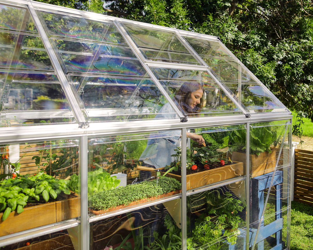 Harmony 6' x 12' Greenhouse - Silver Frame & Clear Polycarbonate Panels