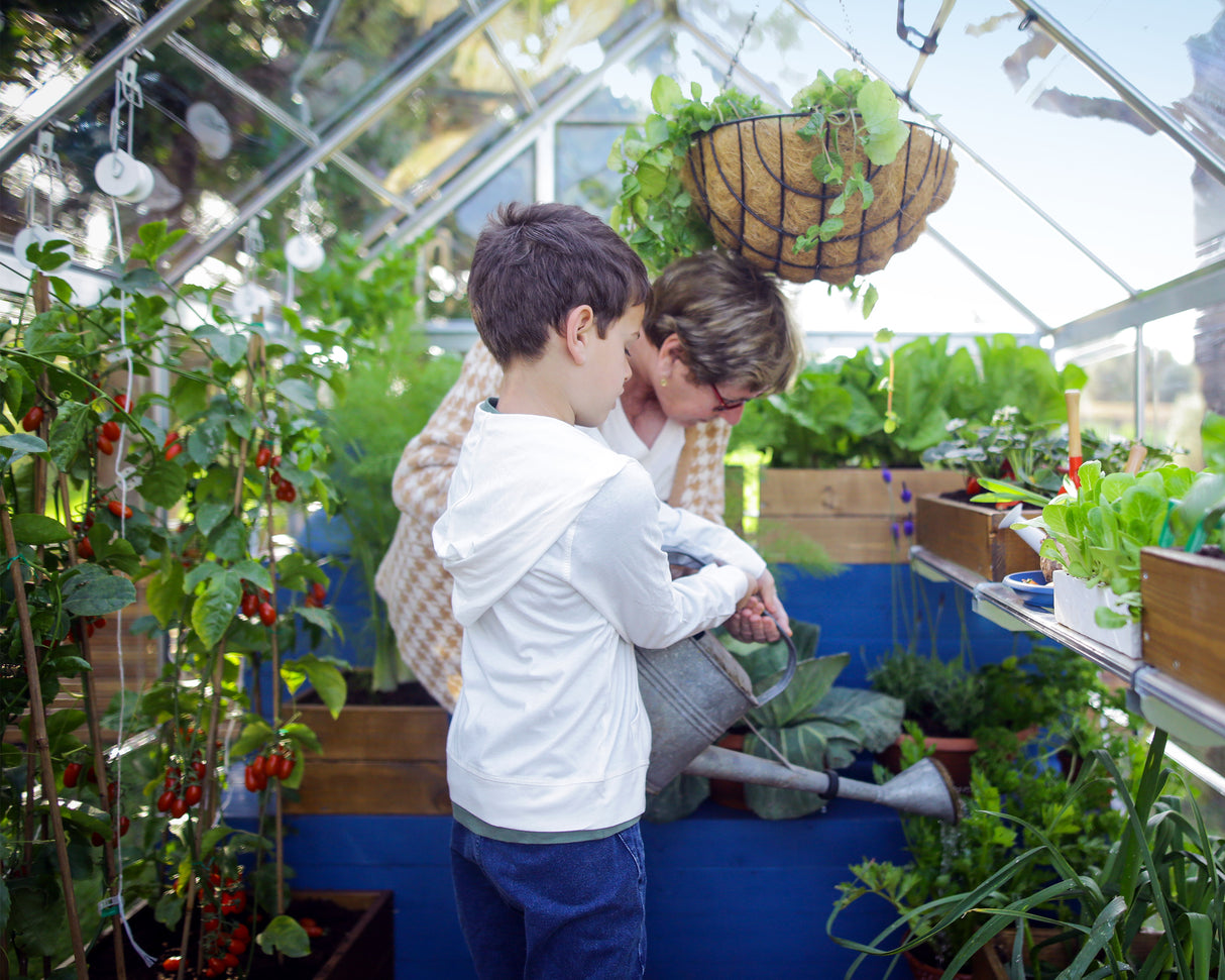 Harmony 6' x 14' Greenhouse - Silver Frame & Clear Polycarbonate Panels