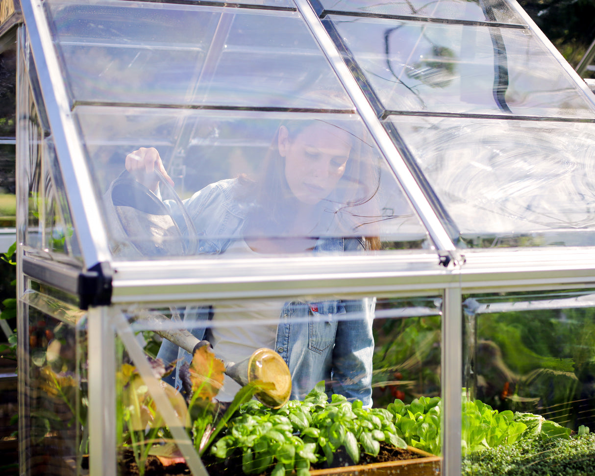 Harmony 6' x 10' Greenhouse - Silver Frame & Clear Polycarbonate Panels