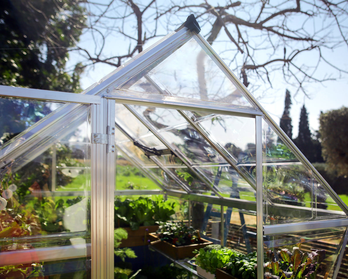 Harmony 6' x 14' Greenhouse - Silver Frame & Clear Polycarbonate Panels