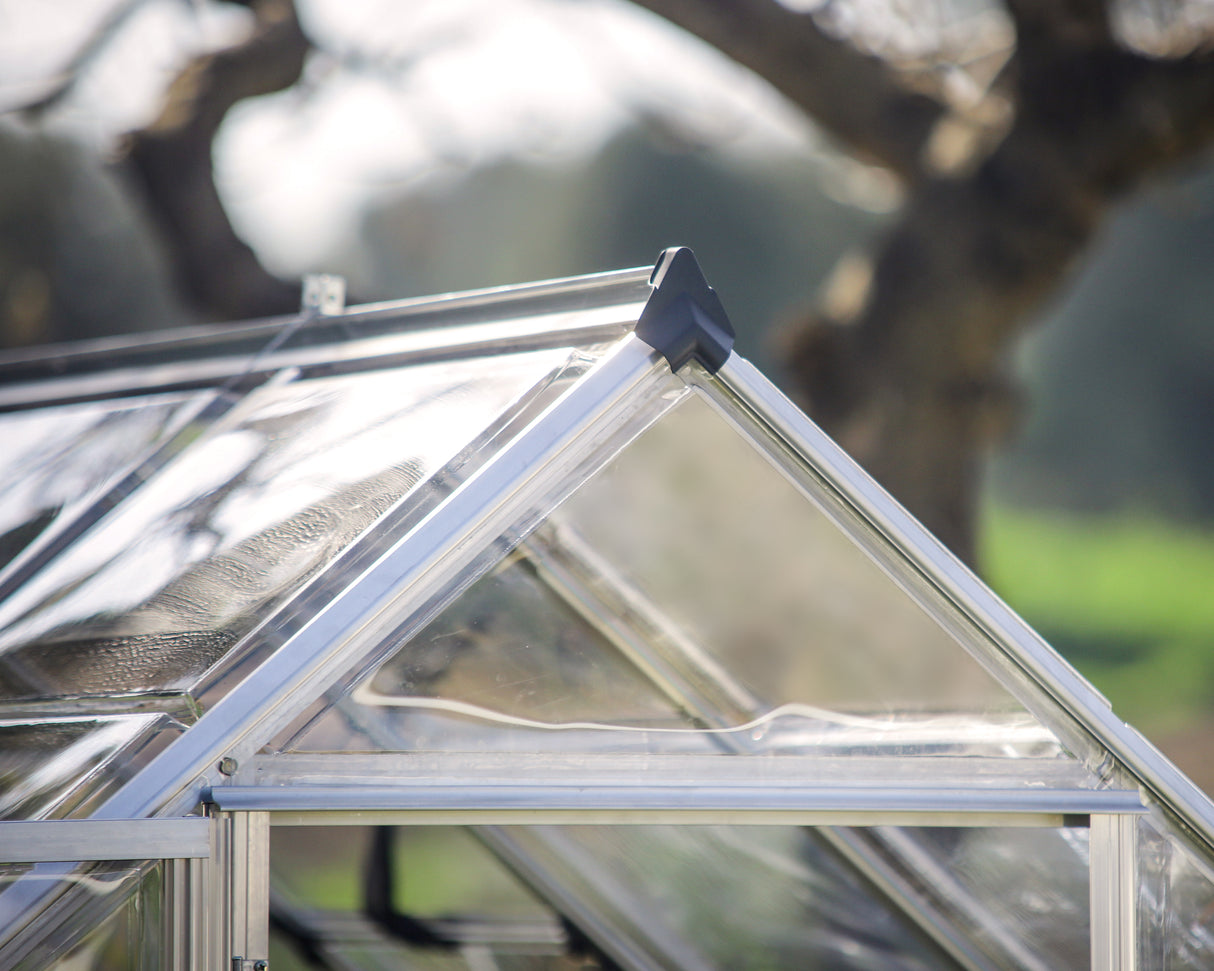 Harmony 6' x 12' Greenhouse - Silver Frame & Clear Polycarbonate Panels