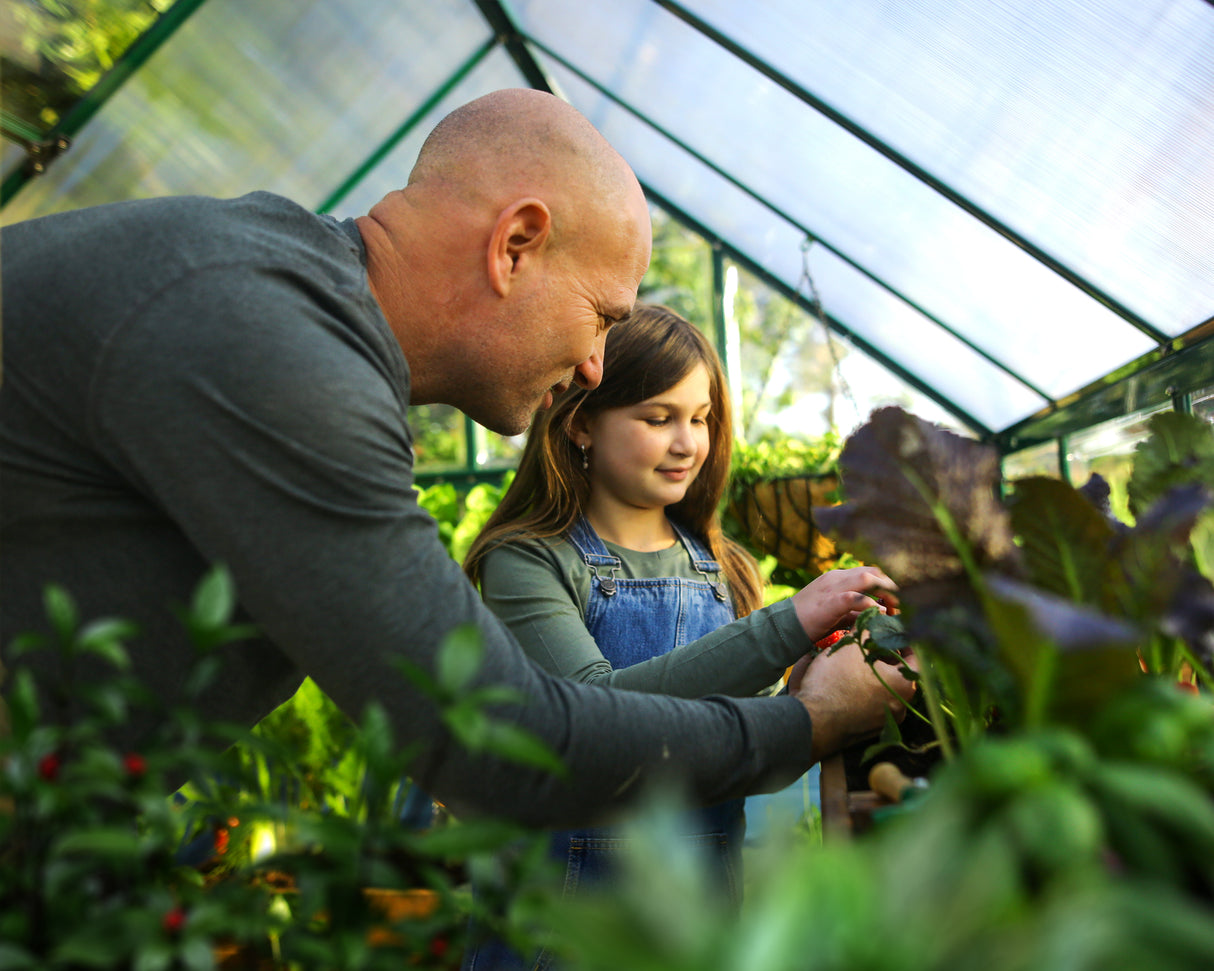 Hybrid 6' x 4' Greenhouse - Green Frame & Hybrid Polycarbonate Panels