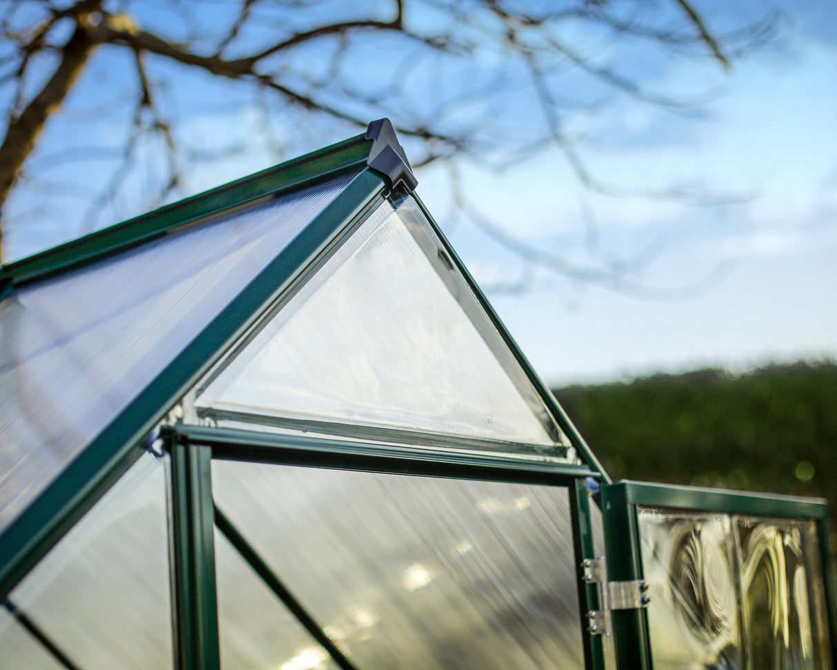 Hybrid 6' x 12' Greenhouse - Green Frame & Hybrid Polycarbonate Panels