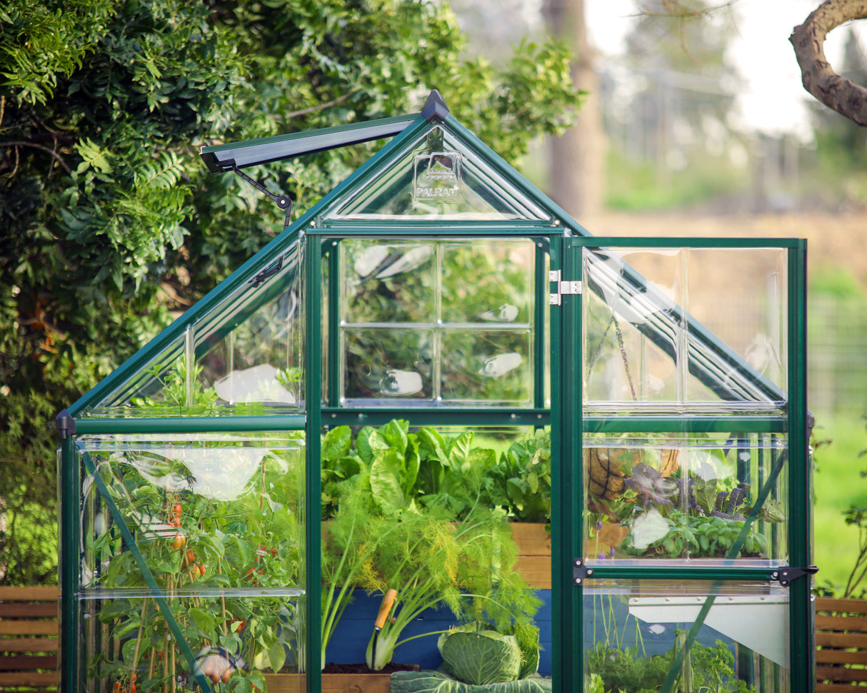 Hybrid 6' x 12' Greenhouse - Green Frame & Hybrid Polycarbonate Panels
