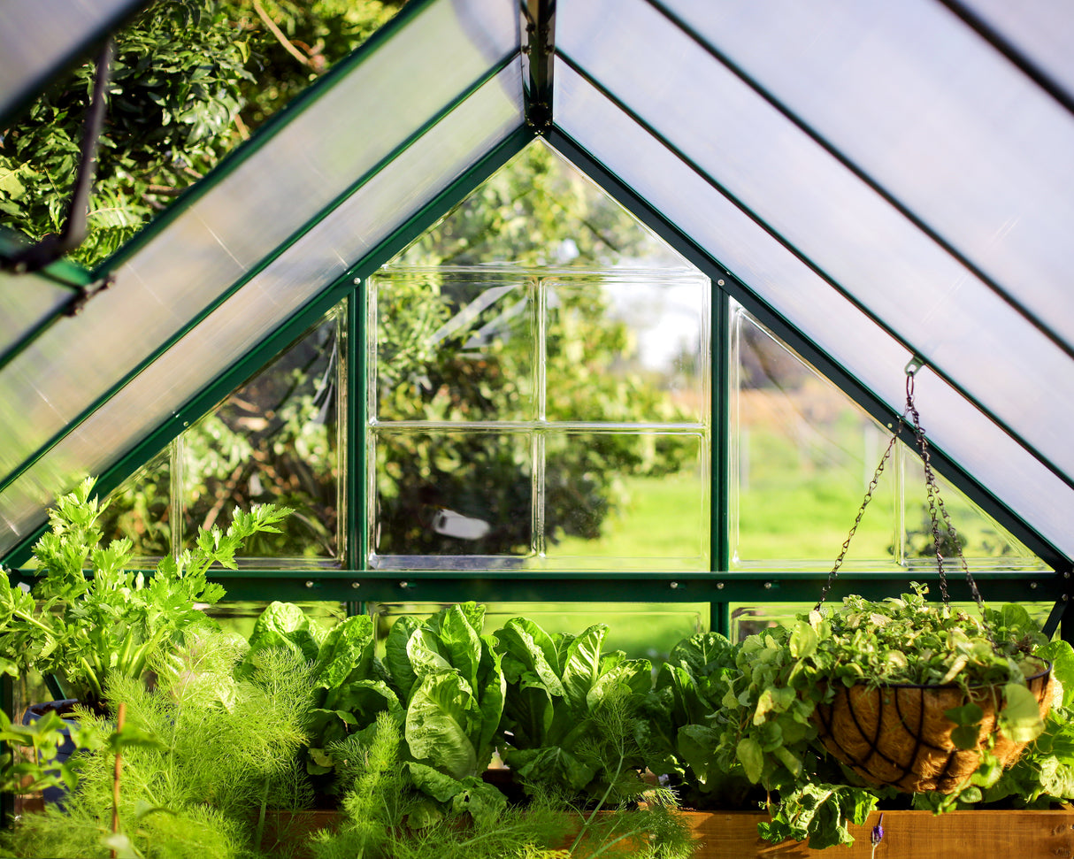 Hybrid 6' x 4' Greenhouse - Green Frame & Hybrid Polycarbonate Panels
