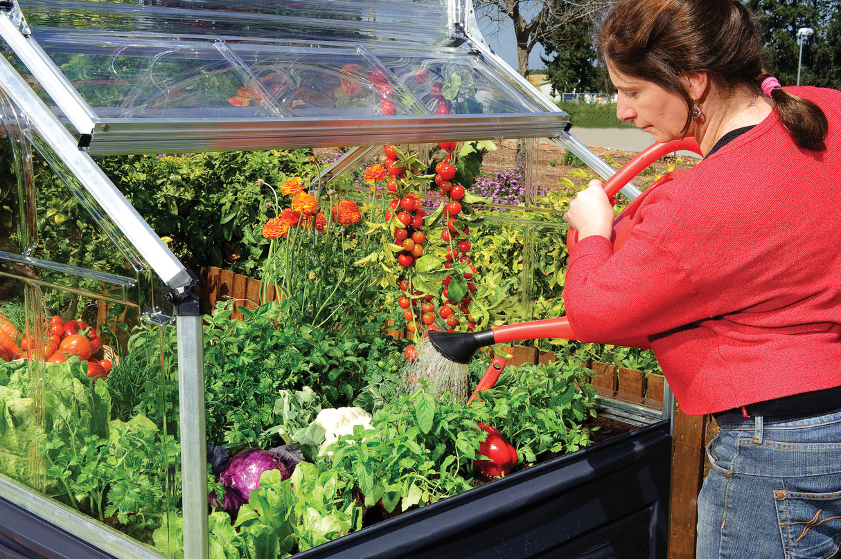 Plant Inn 4' x 4' Greenhouse - Silver Frame & Clear Polycarbonate Panels