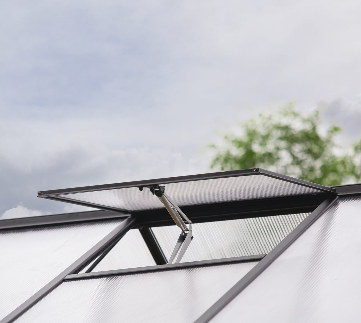 Triomphe 13' x 15' Greenhouse - Black Aluminium Frame & Clear Polycarbonate Panels