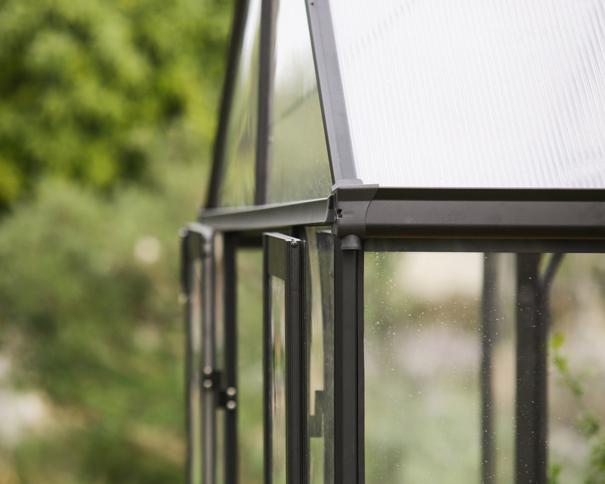 Triomphe 13' x 15' Greenhouse - Black Aluminium Frame & Clear Polycarbonate Panels