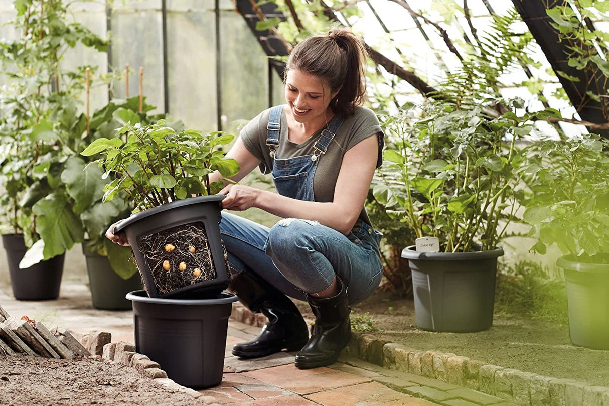 Green Basics Potato Pot 33cm - Living Black